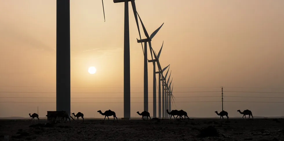 The Tarfaya wind project in Morocco.