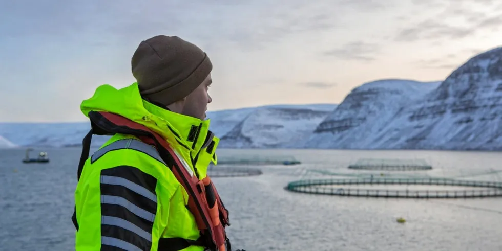 Icelandic Salmon launched a new brand in August and is already seeing the effects of this in terms of better price achievement, it said.
