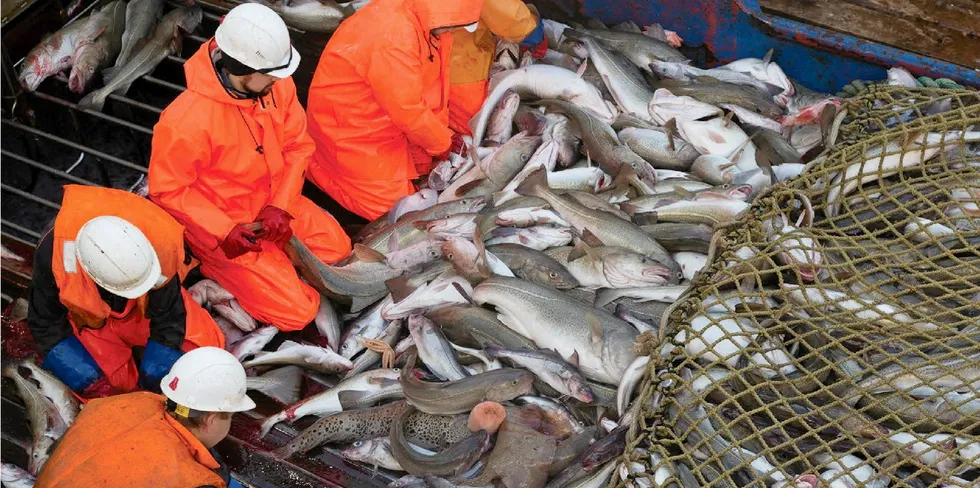 Fishing companies in Russia are struggling under the weight of sanctions, but the government isn't likely to let the largest firms fail.