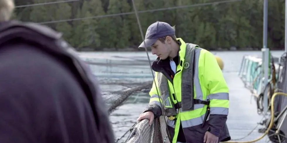 BC Salmon Farmers fear the entire industry is at risk if Canada's fisheries minister does not renew remaining licenses.