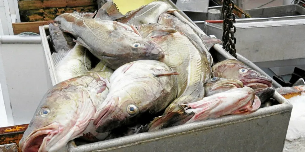 The move was supposed to happen to both the inshore cod and haddock fisheries on April 26, but the cod component was afforded a slight reprieve.
