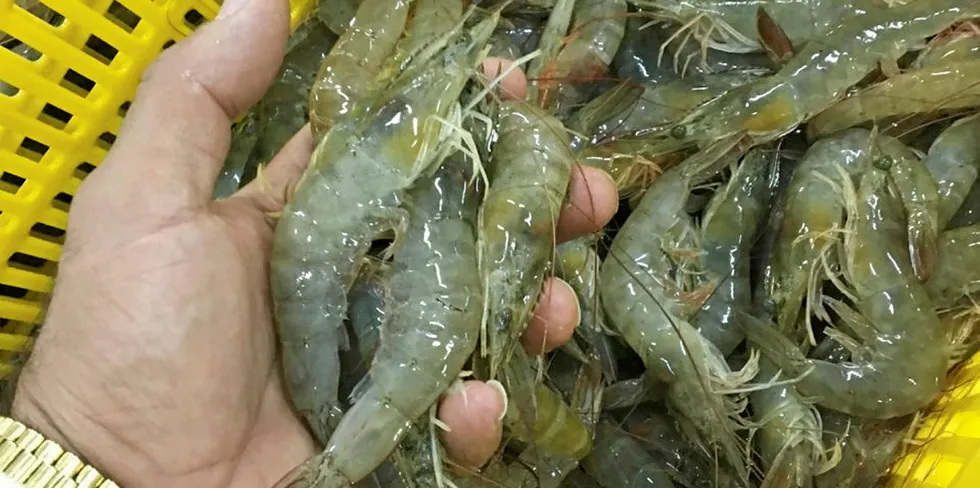 Can Pakistan become an aquaculture supplier to rival neighboring India?