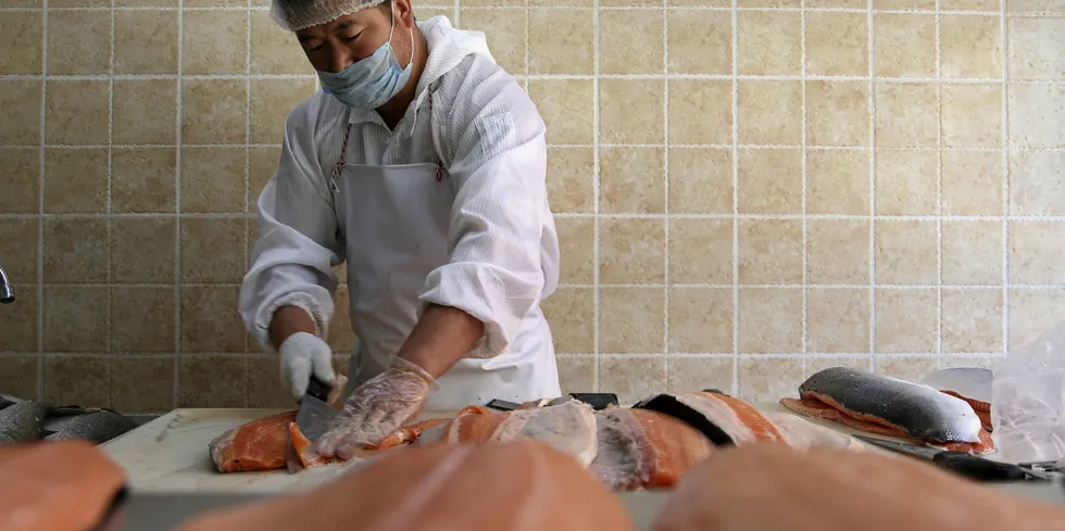 Chile's farmed salmon is slowly making its way back onto the Asian market as the deadly coronavirus begins to slow its spread in China and elsewhere.
