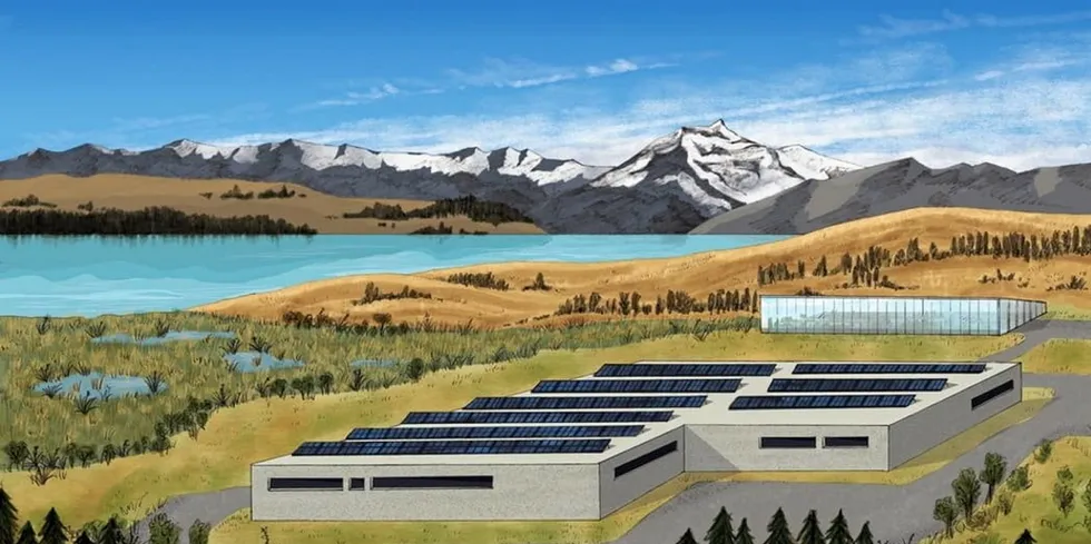 Chief executive David Cole said the new land-based salmon farm would at least double the company's annual production to between 6000 and 8000 metric tons of fish.