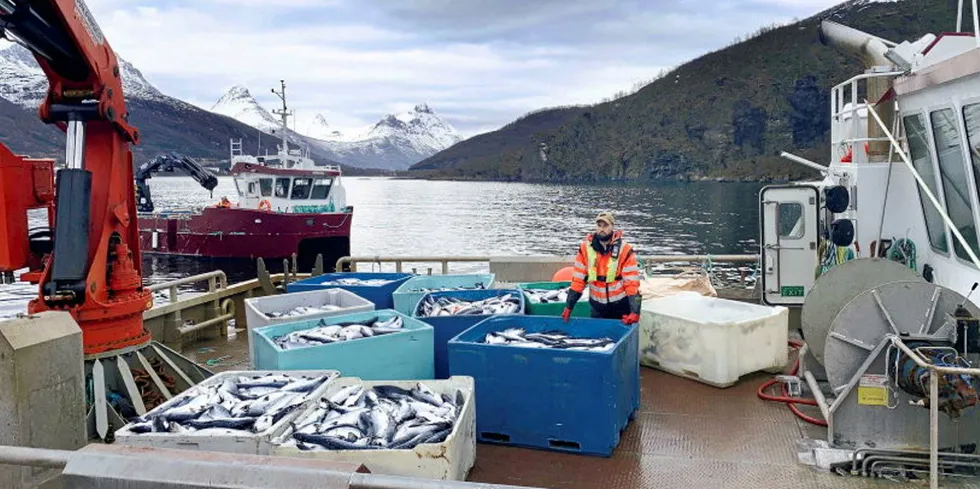 "Mortality rates have been too high for a long time, and much of these challenges have been up to the companies themselves," Tekna Board Member Mattias Bendiksen Lind said.