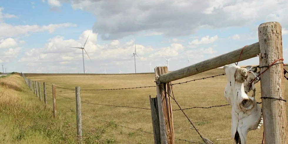 The 300MW Blackspring Ridge wind farm in Alberta, owned jointly by Enbridge and EDF Renewable Energy