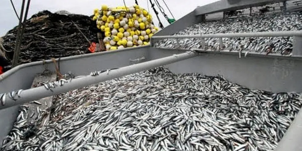 The quota for the region is set at 486,500 metric tons.