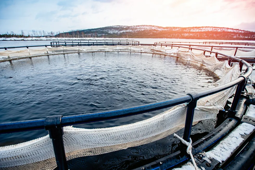Kontali's production forecast is more upbeat compared to Rabobank's forecast in January.