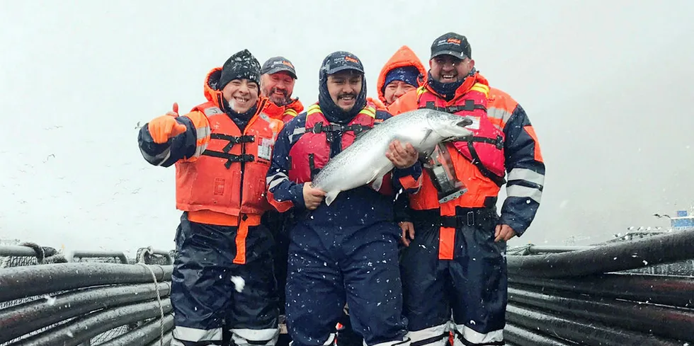 Nova Austral salmon.