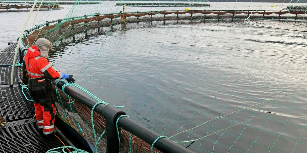 SalMar bought by far the most capacity in the auctions, but both large and small salmon farmers can be found on the list.