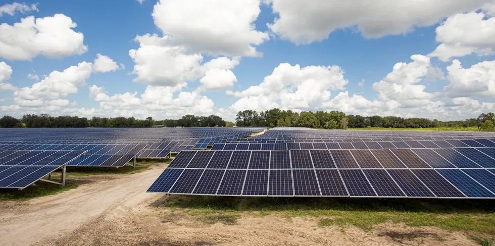 NextEra's Sunshine Gateway solar array in Wellborn, Fla. - utility would use nearby solar power to produce green hydrogen for power plants