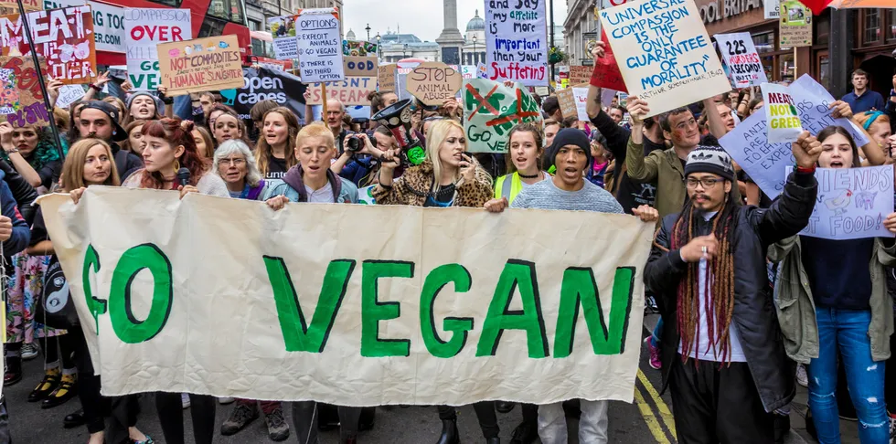 Yell all you want: Retail sales of plant-based seafood alternatives did not budge in January.