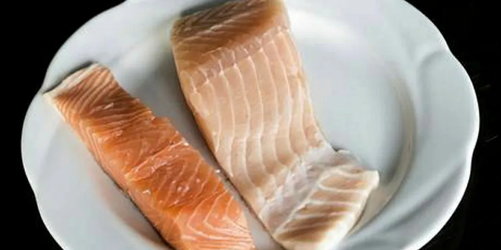 Falsely-dated salmon batch.