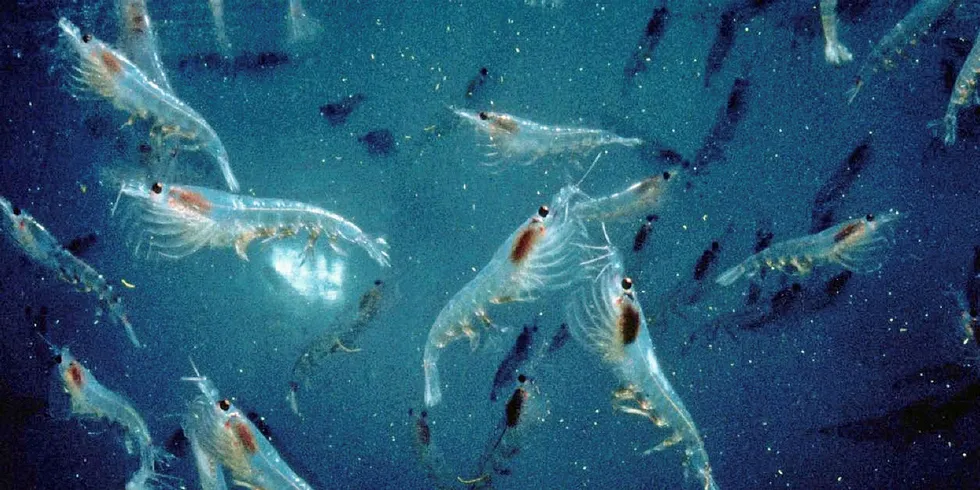 Aker BioMarine is expanding its foothold in the krill oil business.