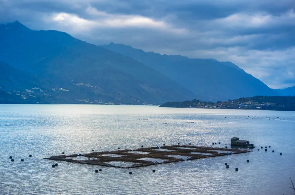 Will a new campaign convince Chileans that the country's salmon farming sector is not a threat to the environment?