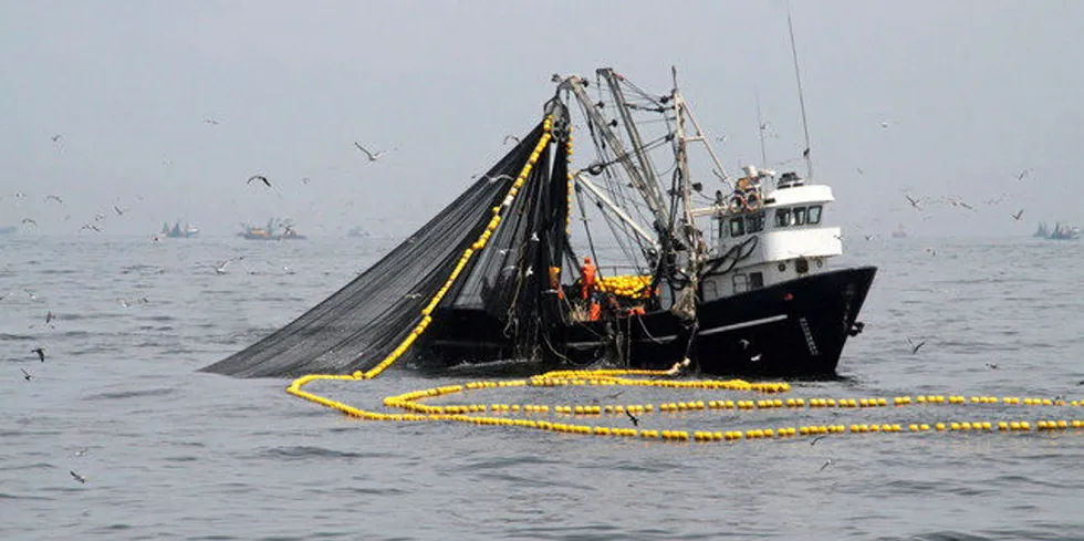 A Peruvian anchovy fishing vessel at sea.