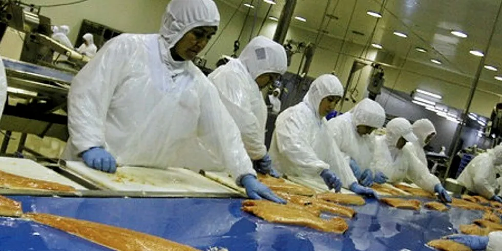 A Chilean salmon processing plant before social distancing measures were introduced.