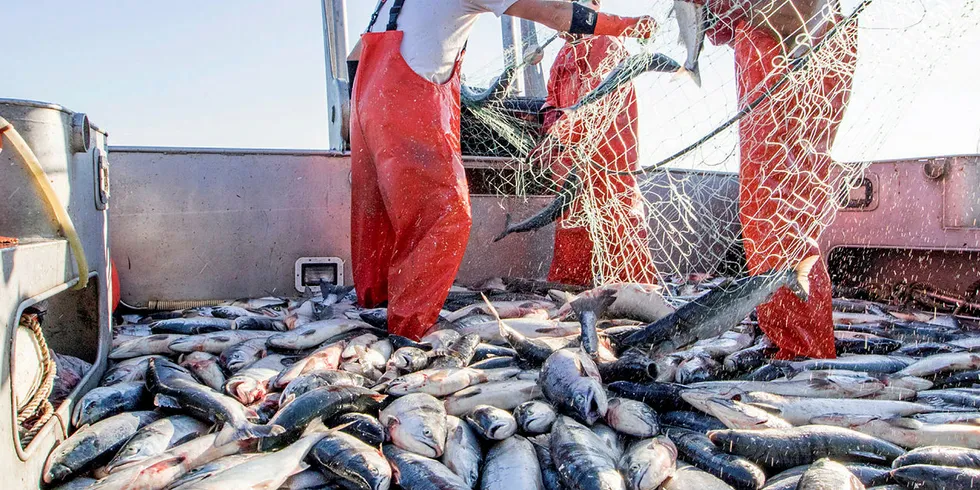 AGS, Copper River, Peter Pan, Northline Seafoods, Trident, Ocean Beauty, North Pacific Seafoods all submitted plans to deal with coronavirus challenges this summer in Alaska's Bristol Bay.