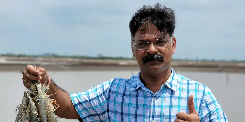 Manoj Sharma on his Gujarat shrimp farm.