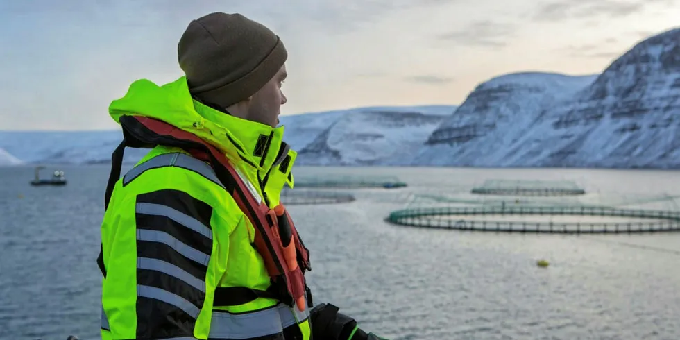 Icelandic salmon farming.