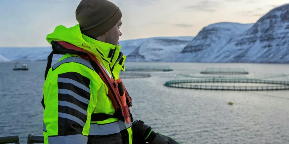 Arnarlax reported three holes in its farm in Arnarfjordur.