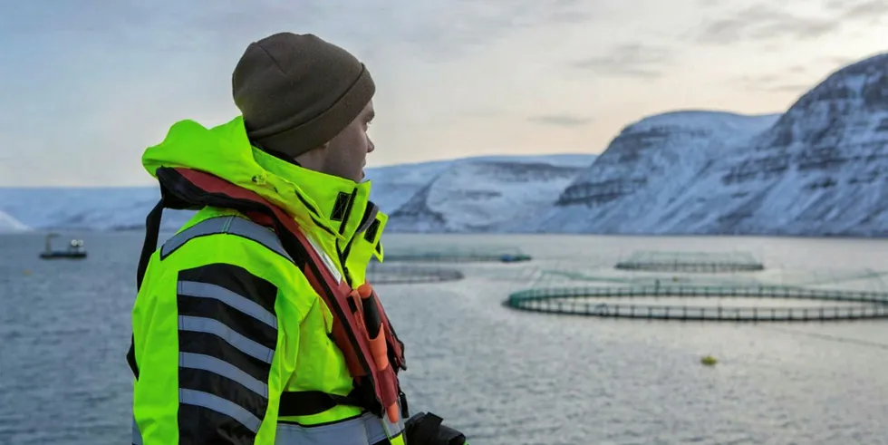 Arnarlax posted 'very weak results' for the second quarter of the year