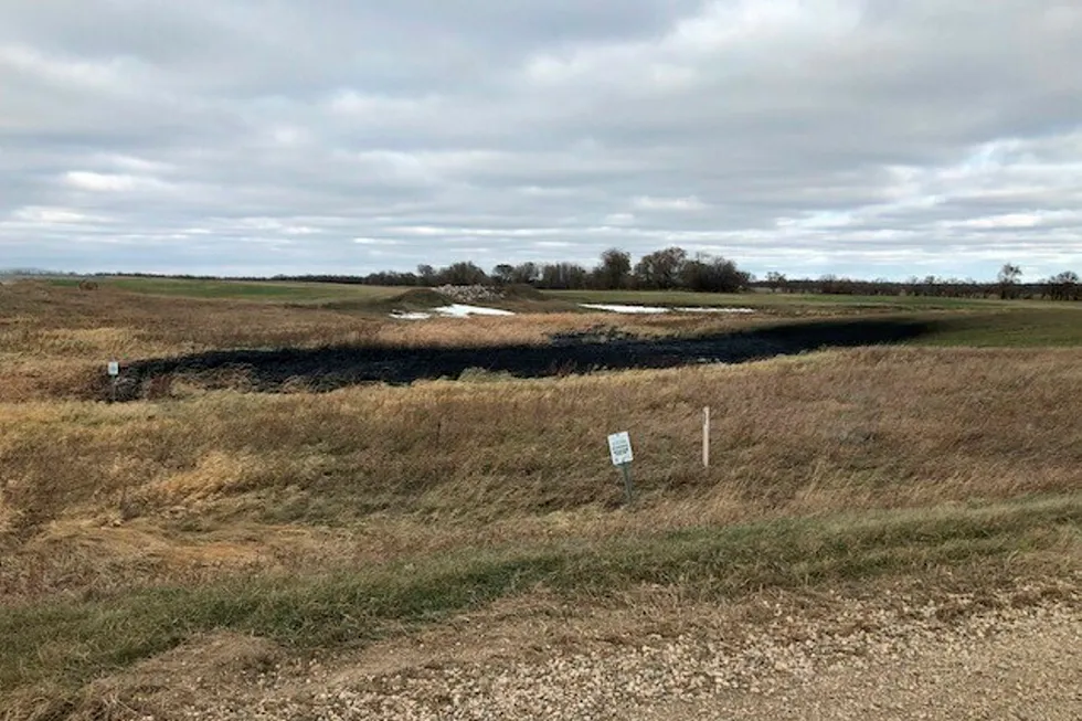 Keystone spill: Near Edinburg, ND