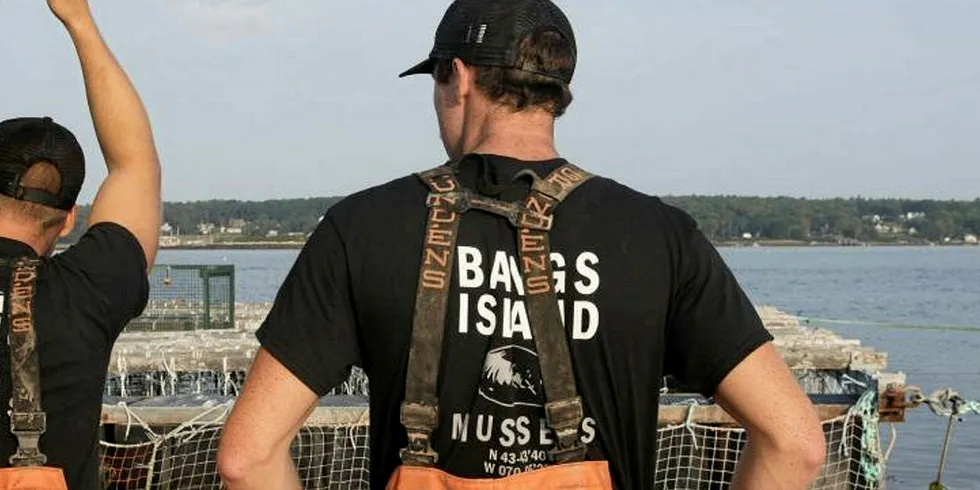 Bangs Island is owned by father and son team Gary and Matt Moretti, who have operated the company on Portland's working waterfront for nine years.