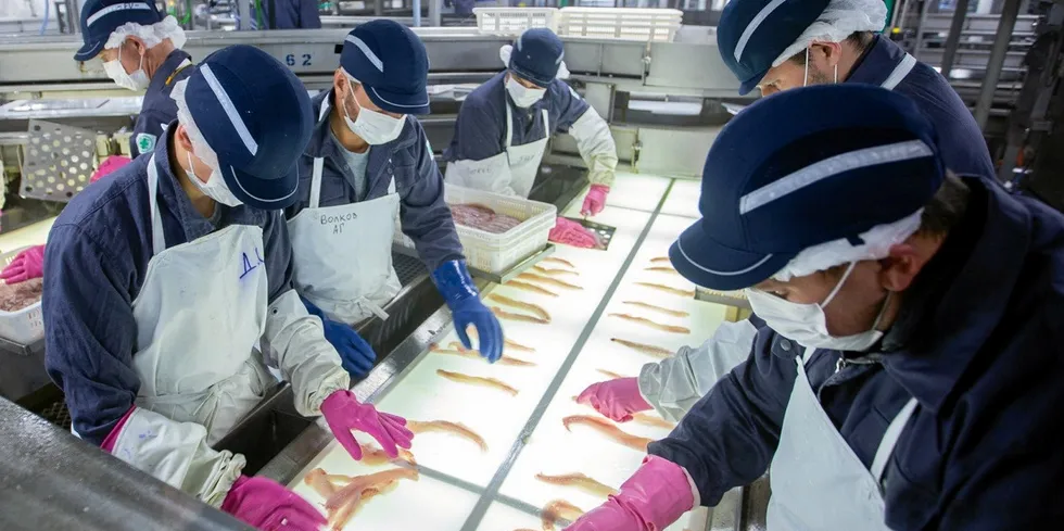 The other side of the coin: Production of pollock fillets dropped 19 percent year-on-year due to weak export markets associated with decreased consumer demand and overproduction.