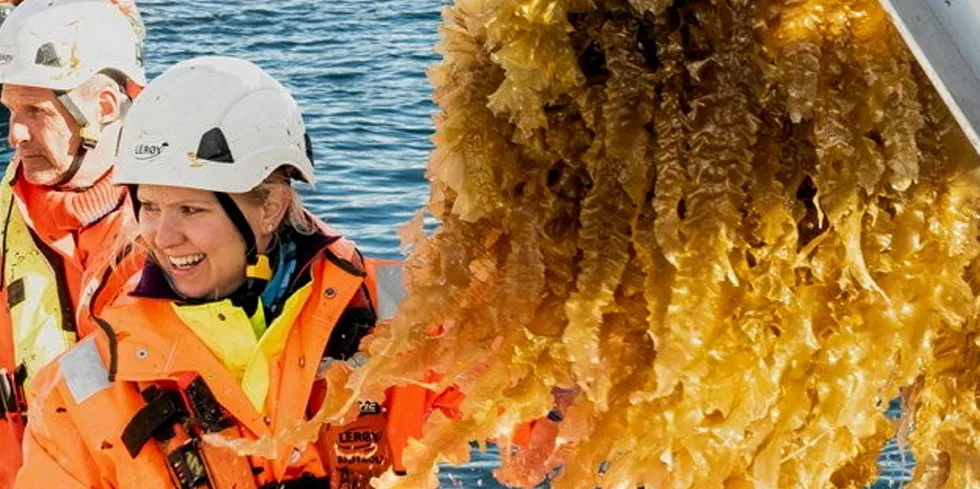 Leroy's Ocean Forest’s vision is to substantially multiply food production from the sea in a sustainable manner by harvesting species from lower down in the food chain. It is one of the initiatives bumping aquaculture up on a major sustainability index list.