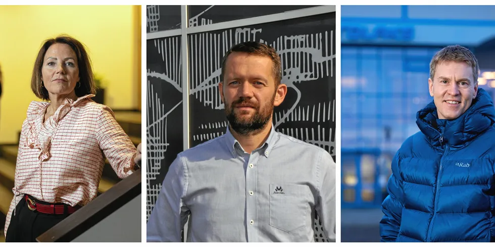 Top executives at private salmon farming companies such as Line Ellingsen (Ellingsen Seafood), Tom Eirik Aasjord (Nova Sea) (Alsaker Fjordbruk), Eirik Welde (Nordlaks) generally are paid less than their counterparts publicly traded salmon farming companies in Norway.