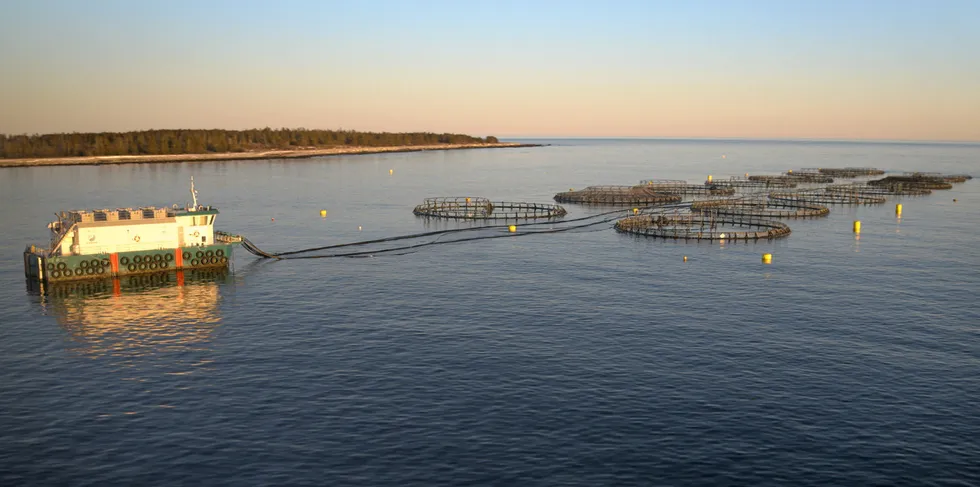 Canadian seafood giant Cooke's Kelly Cove Coffin Island salmon farm in Liverpool Bay, Nova Scotia.