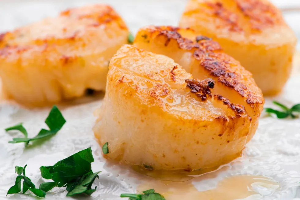 Scallop producer Northern Wind adds new sales executive to its team.