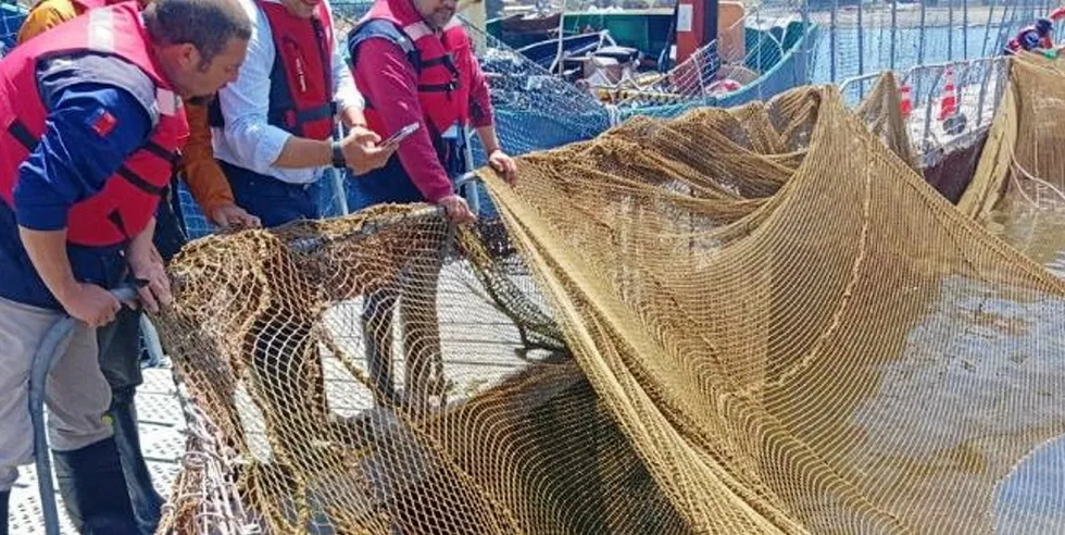 Chile's national fisheries and aquaculture service, Sernapesca, puts the number at 2,168 escaped salmon.