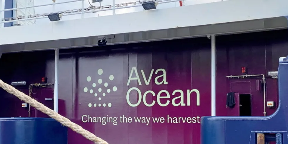Known as The Ocean Green project, Ava Ocean will lead a consortium -- which includes partners such as Wild Lab Projects, NIBIO, NIVA, Akvaplan Niva, Hofseth Biocare, and Wandering Owl -- to harvest invasive sea urchins, revitalize kelp forests, and develop new products.