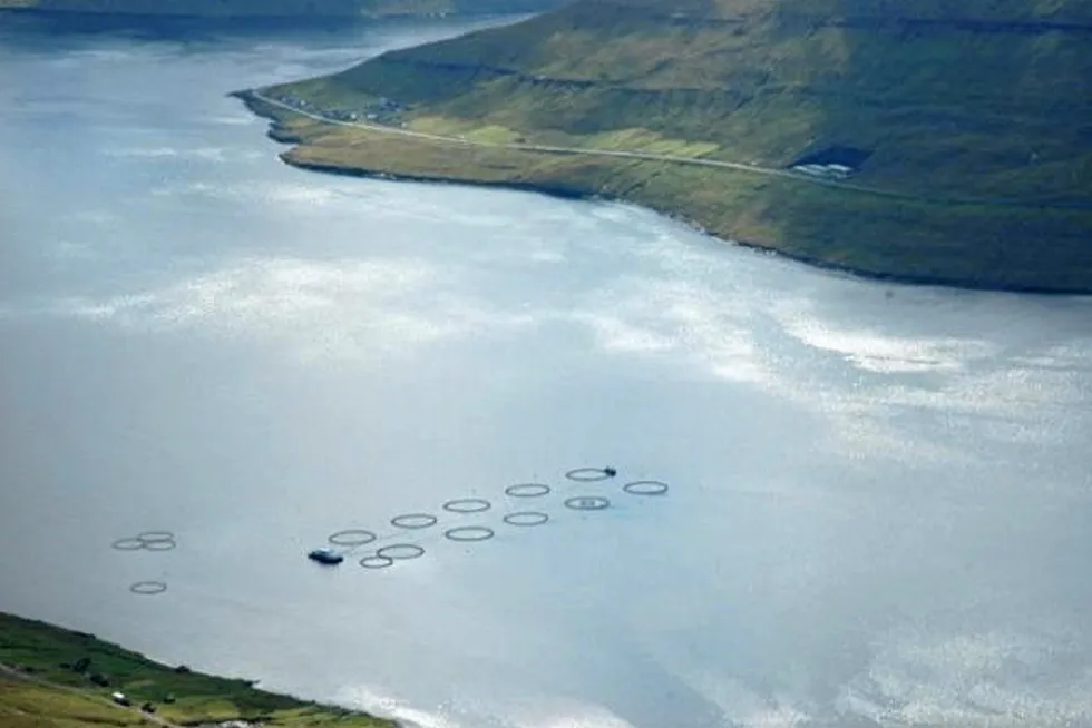 Faroe Island-based salmon farmer Bakkafrost is considering closing two salmon processing facilities in northwestern Scotland.