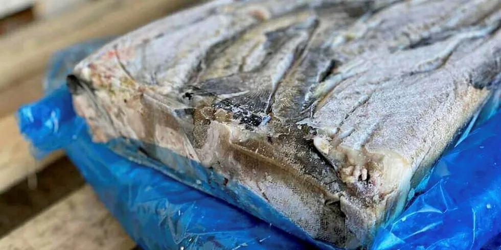 A frozen block of headless & gutted (H&G) Russian pollock from St. Petersburg-based supplier Konta Fish.