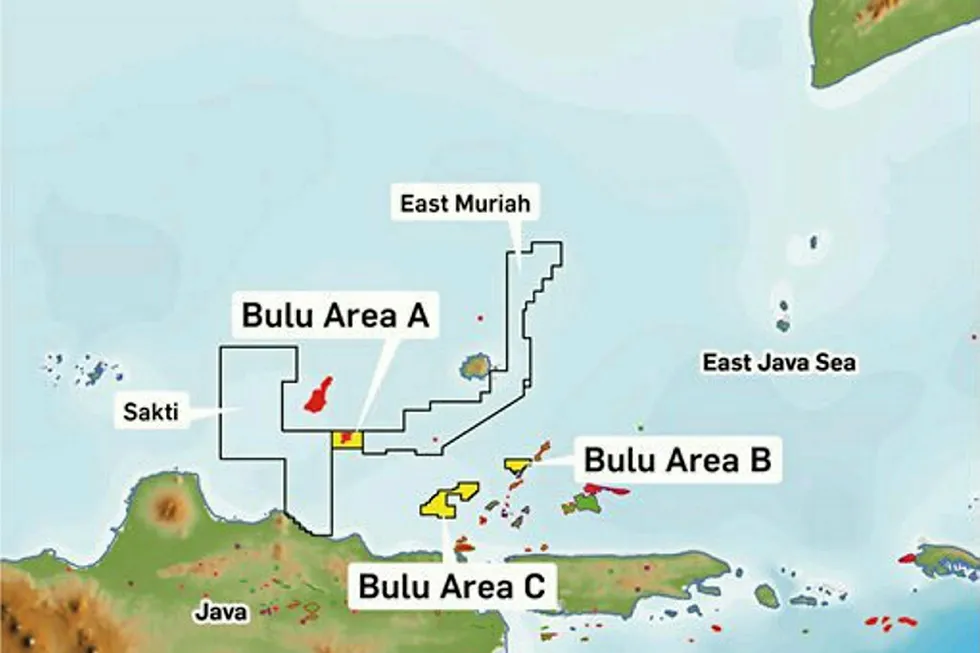 Deal off: Coro walks away from Bulu deal