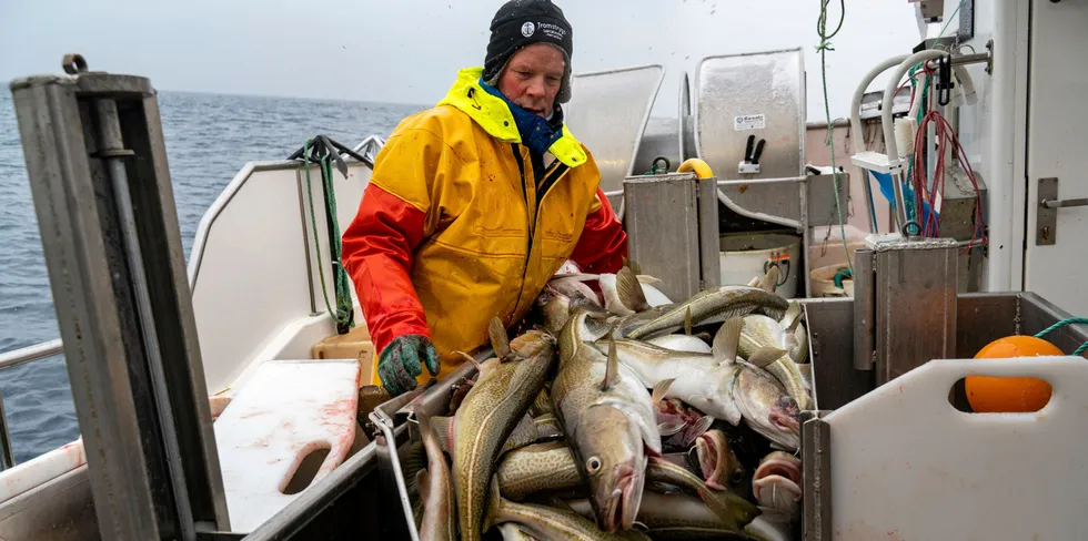 Scientists recommended a further 20 percent cut to the cod quota for 2024, reducing the total allowable catch (TAC) to 453,427 metric tons, the lowest level in 15 years.