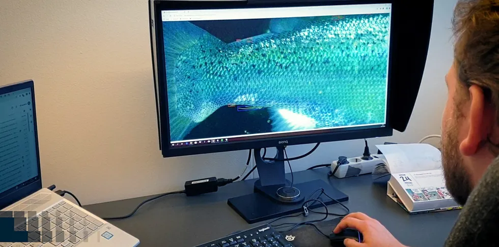 Aquabyte, which uses machine learning to track sea lice loads on farmed salmon, was hit by a hack attack in early February 2022.