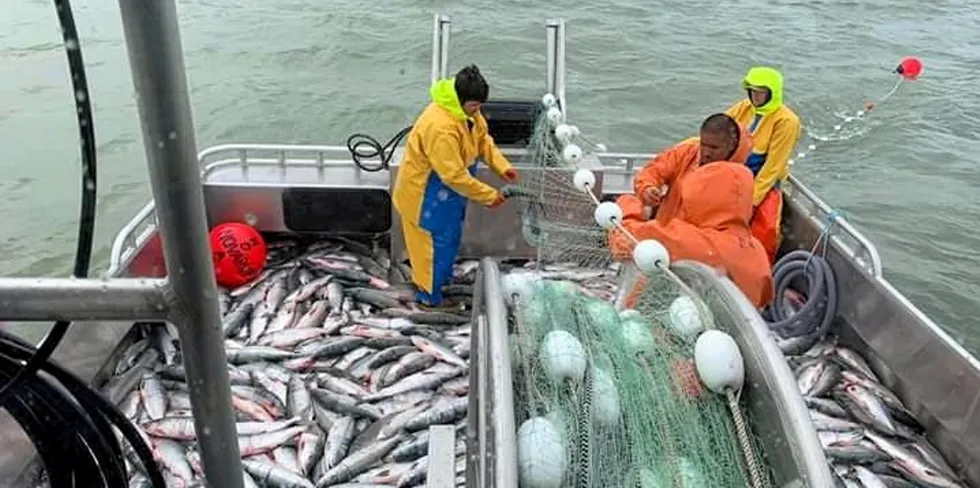 "When full plants and tenders put fishermen on limits the effect is particularly damaging for fishermen," said the Bristol Bay Regional Seafood Development Association (BBRSDA). "That extra fish is essentially pure profit for skippers and crew, as well as lost tax revenue for local and state government."