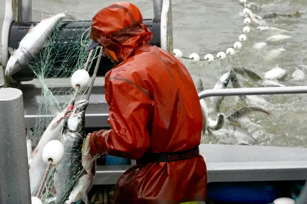 . Bristol Bay salmon fishing in 2024.