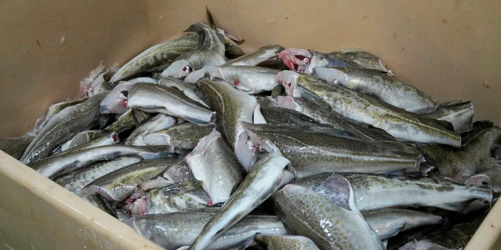 New! Analyzing Alaska pollock, Atlantic cod supply and prices