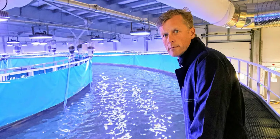 The company is below budget with other variable costs but the real production costs will become clear once Fredrikstad Seafood knows how much it can produce, said Bernt-Olav Rottingsnes, Nordic AquaFarms CEO.