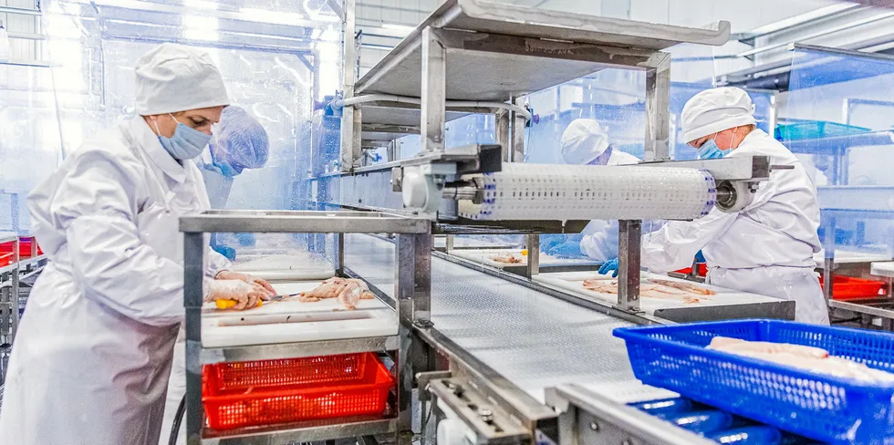 Russian Fishery's value-added pollock factory in Primorye.
