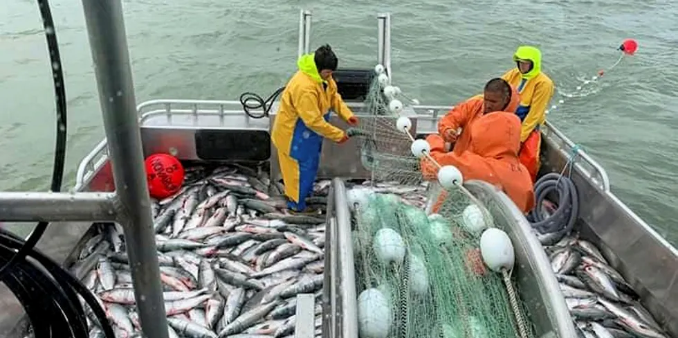 Bristol Bay Fishermen Andy Straley and crew show off their haul from a recent July trip in 2020. Even record harvests can't seem to save fishermen from low prices this year.