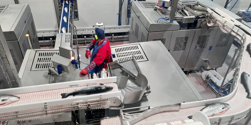 As much as 35 percent of salmon produced by Leroy is processed in-house, but for how much longer?
