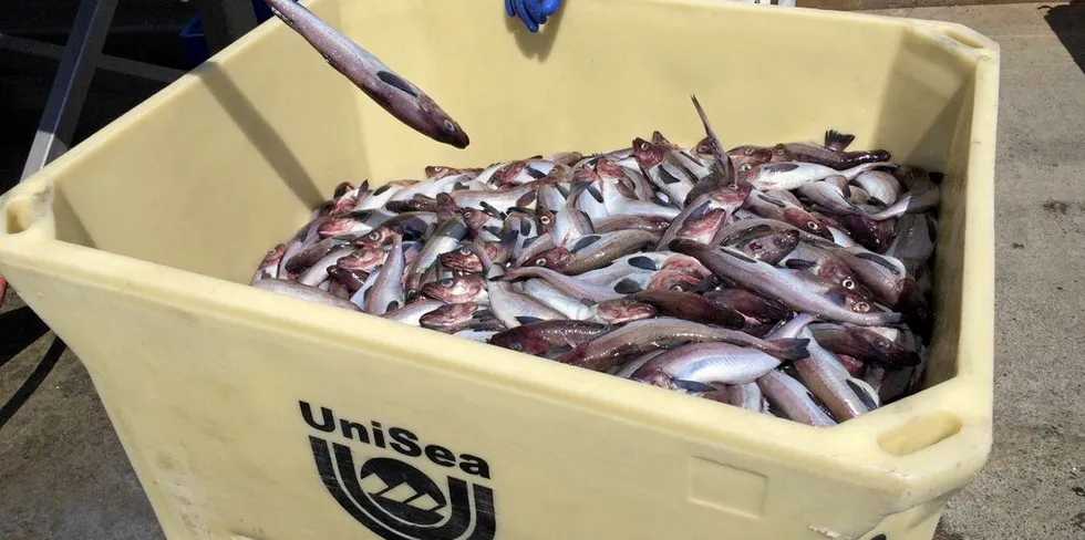 UniSea in Unalaska is set to resume processing Monday.