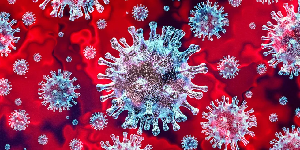 Coronavirus.