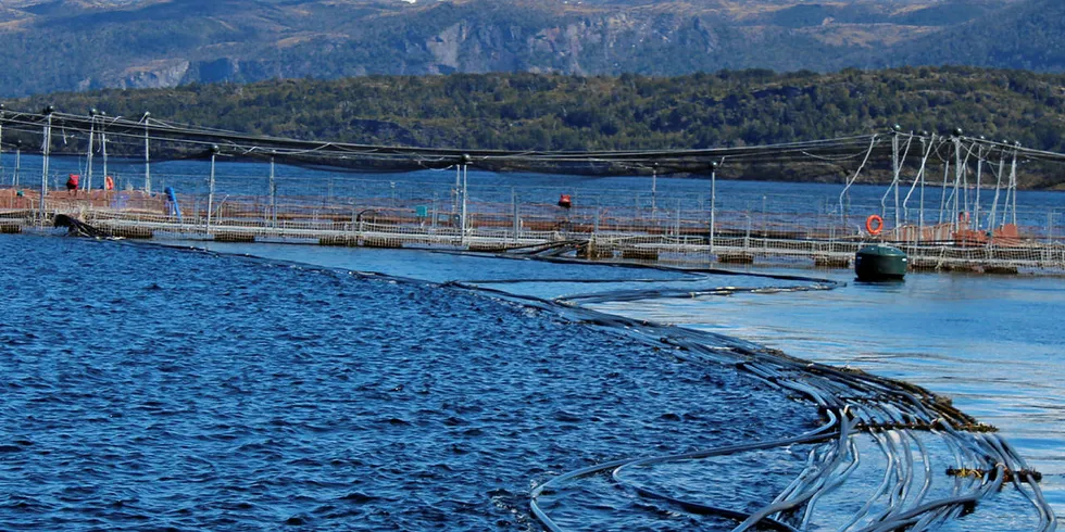 Magallanes salmon farming, Chile.